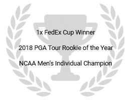 AARON WISE Golf awards